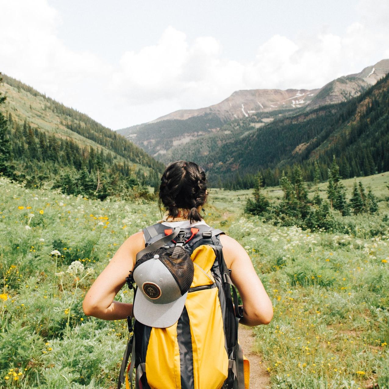 person carrying yellow and black backpack walking between green plants