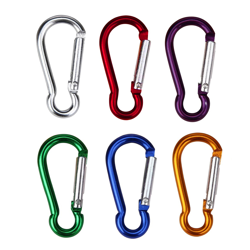 Refined Carabiner Clip Keychain