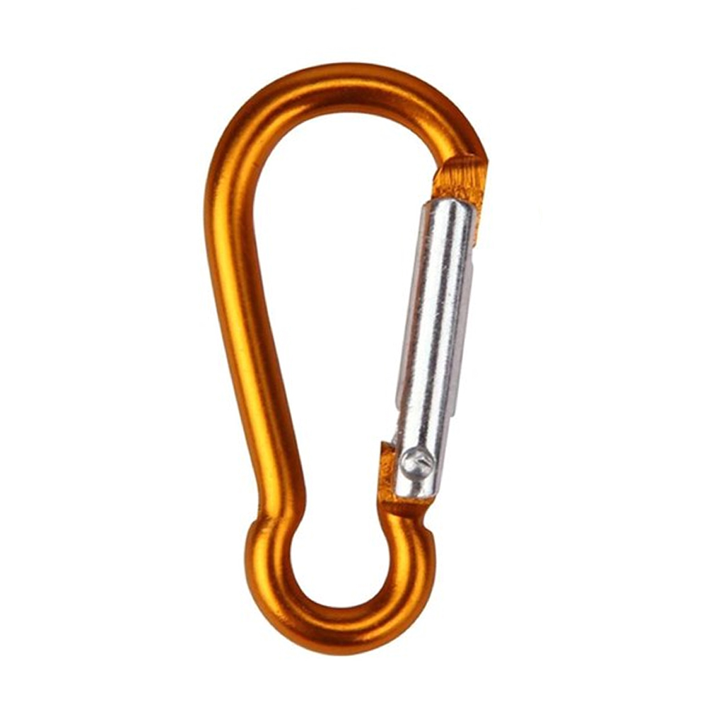 Refined Carabiner Clip Keychain