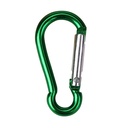 Refined Carabiner Clip Keychain