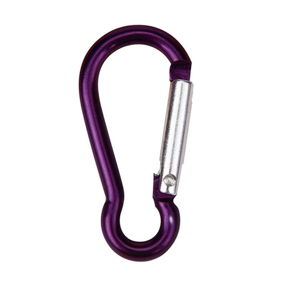 Refined Carabiner Clip Keychain