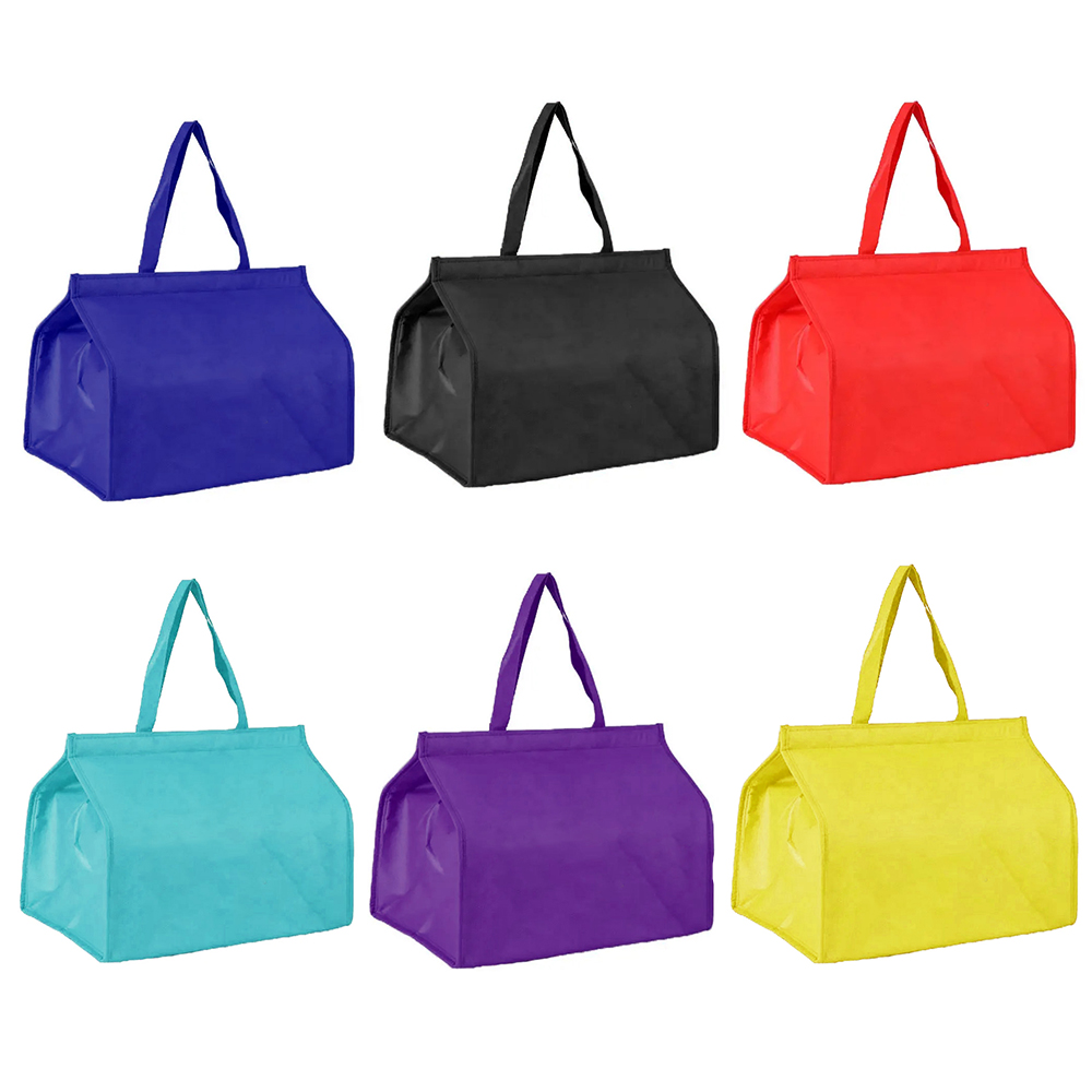 Picnic Thermal Non-Woven Insulated Lunch Bag