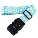 Travelsecure Pro Luggage Strap With TSA Lock