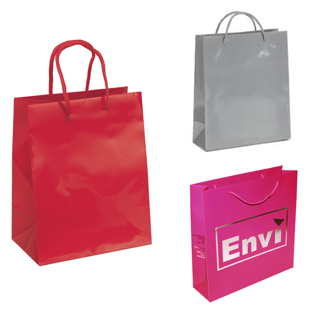 Reusable Gloss Laminated Paper Gift Bag. GB6384