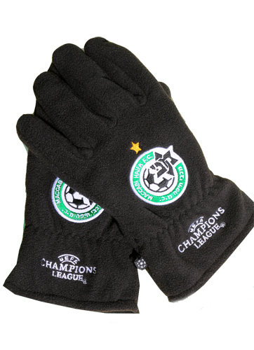 [1484596_FG6746] Embroidered Polar Fleece Winter Gloves. FG6746